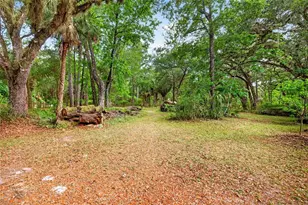 9190 NE 144th Terrace, Silver Springs, FL 34488 - Photo 7