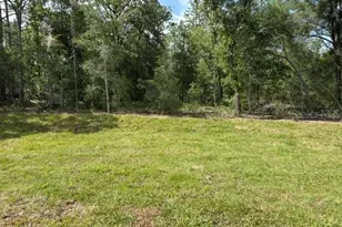 12815 SW 94th Ln, Dunnellon, FL 34432 - Photo 15