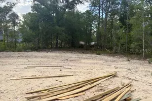 12815 SW 94th Ln, Dunnellon, FL 34432 - Photo 9