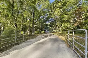 7850 NE 178th Terrace, Williston, FL 32696 - Photo 3