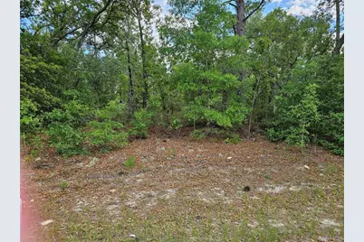 1681 W Skyline Drive, Dunnellon, FL 34434 - Photo 1