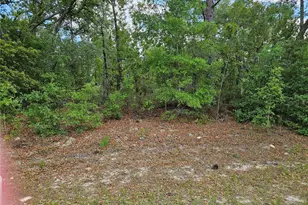 1681 W Skyline Dr, Dunnellon, FL 34434 - Photo 1