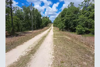 0 SW 64 Street Road, Ocala, FL 34481 - Photo 5
