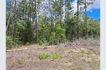 0 SW 64 Street Road, Ocala, FL 34481 - Photo 3