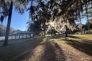 25316 140th Pl NE, Salt Springs, FL 32134 - Photo 19