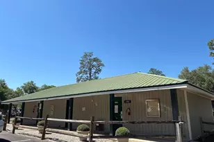 25316 140th Pl NE, Salt Springs, FL 32134 - Photo 49