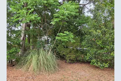 421 Margaret Street, Bronson, FL 32621 - Photo 29