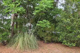 421 Margaret St, Bronson, FL 32621 - Photo 29