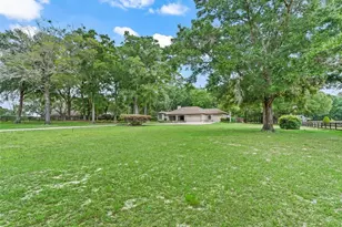 1325 NW 73rd Terrace, Ocala, FL 34482 - Photo 5