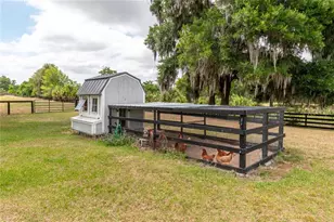 5021 NW 101st St Rd, Ocala, FL 34482 - Photo 67