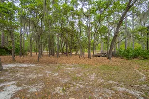 6479 W Candier Ct, Dunnellon, FL 34433 - Photo 43