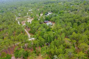 6479 W Candier Ct, Dunnellon, FL 34433 - Photo 67