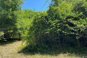 2424 NE 170th St, Citra, FL 32113 - Photo 49
