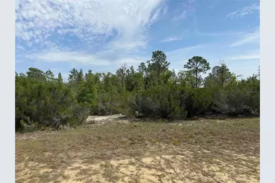 Tbd NE 110 Avenue, Bronson, FL 32621 - Photo 5