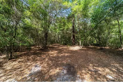 11953 N Glenview Avenue, Dunnellon, FL 34434 - Photo 3