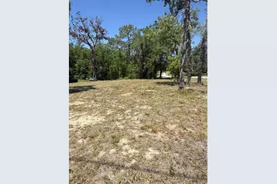 Tbd NE 152 Terrace, Williston, FL 32696 - Photo 3