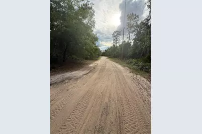 18710 SE 61st Street Road, Ocklawaha, FL 32179 - Photo 25