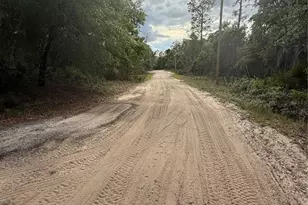 18710 SE 61st Street Rd, Ocklawaha, FL 32179 - Photo 25