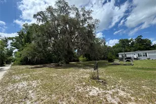 10801 SW 160th St, Dunnellon, FL 34432 - Photo 3