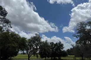 10801 SW 160th St, Dunnellon, FL 34432 - Photo 3