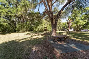 14020 NW 160th Ave, Williston, FL 32696 - Photo 31