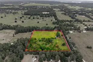 5820 NW 160th St, Reddick, FL 32686 - Photo 5