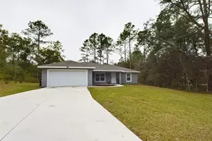 10102 SW 188th Cir, Dunnellon, FL 34432 - Photo 1