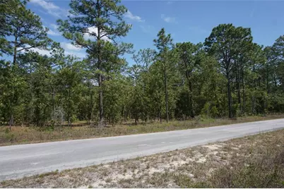 Tbd NW Tree Top Road, Dunnellon, FL 34431 - Photo 3