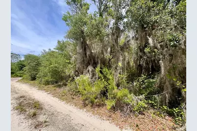 8365 NE 306th Court, Salt Springs, FL 32134 - Photo 7