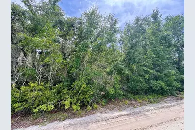 8365 NE 306th Court, Salt Springs, FL 32134 - Photo 3