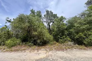 8365 NE 306th Ct, Salt Springs, FL 32134 - Photo 1