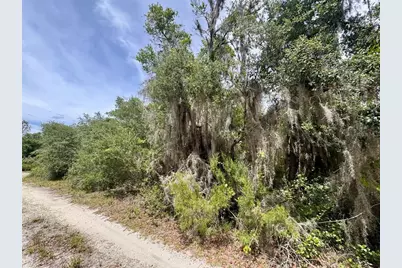 8365 NE 306th Court, Salt Springs, FL 32134 - Photo 5