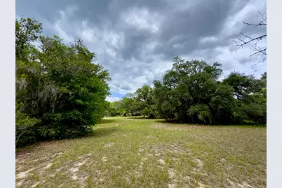 00 SE 146th Terrace Road, Ocklawaha, FL 32179 - Photo 9