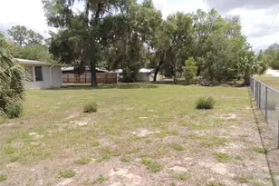 13250 NE 52 Pl, Williston, FL 32696 - Photo 5