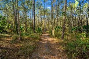3255 NE 104th Ave, Silver Springs, FL 34488 - Photo 83