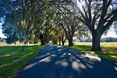 11920 SE 8th Avenue, Ocala, FL 34480 - Photo 3
