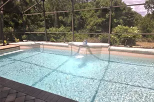 6433 Wilander St, Leesburg, FL 34748 - Photo 27