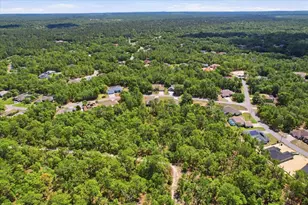 7 Bells of Ireland Ct, Homosassa, FL 34446 - Photo 45