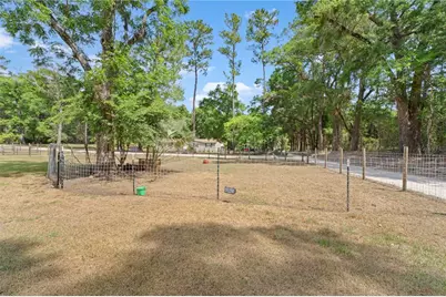 17230 NE 41st Street, Williston, FL 32696 - Photo 31