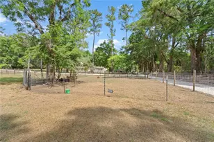 17230 NE 41st St, Williston, FL 32696 - Photo 31