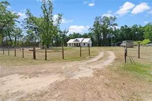 17230 NE 41st St, Williston, FL 32696 - Photo 3