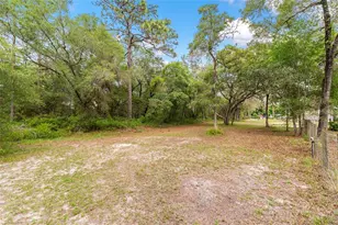 15460 SW 85th Ave, Dunnellon, FL 34432 - Photo 65