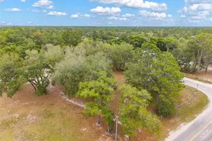 15460 SW 85th Ave, Dunnellon, FL 34432 - Photo 39