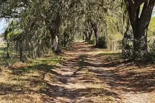 1869 SW 32nd Pl, Bell, FL 32619 - Photo 29