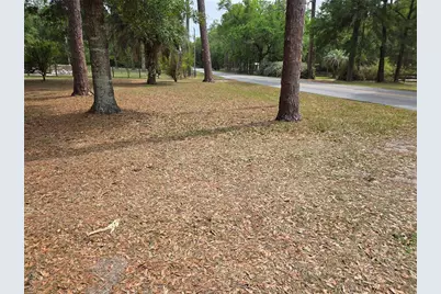 4497 NE 140th Court, Williston, FL 32696 - Photo 5
