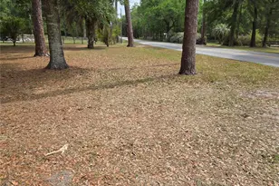 4497 NE 140th Ct, Williston, FL 32696 - Photo 5