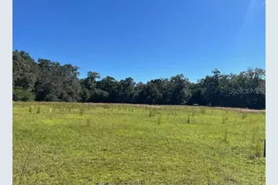 000 NW 27th Avenue, Citra, FL 32113 - Photo 5