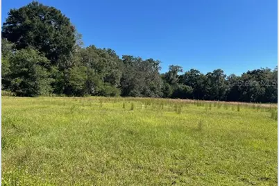 000 NW 27th Avenue, Citra, FL 32113 - Photo 9