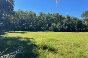 000 NW 27th Ave, Citra, FL 32113 - Photo 1