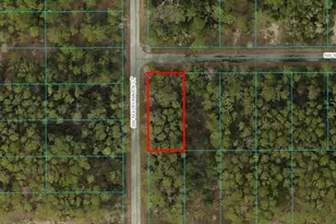 Tbd Lot 13 SW South Ct, Dunnellon, FL 34431 - Photo 1